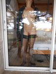 DSCN0211.JPG