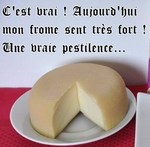 Frome.Qui.Sent...jpg