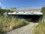 IMG_6659-Grande.jpeg