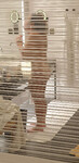 IMG_2211.JPEG