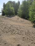 plage1.jpeg