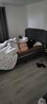 20250330_090056.jpg