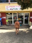 IMG_9919.jpeg