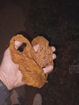 20250126_064730.jpg