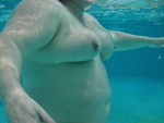 IMG_0006.JPG