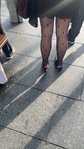 IMG_0328.jpeg