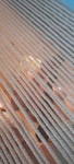 VideoCapture_20250615-201927.jpg