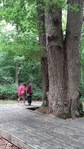 20200705_154614.jpg