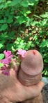 20250505_172951.jpg