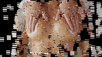26967546.gif