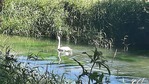 20210718_173447.jpg