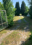 IMG_5884.jpeg