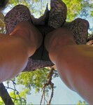 IMG_5851bis.jpg
