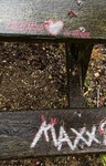 IMG_9853.jpeg