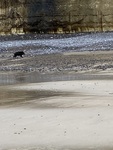 IMG_1826.jpeg