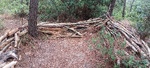 20250622_091911.jpg
