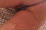 1_gif_temp.gif