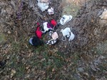 IMG_20151112_165748.jpg