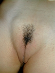 DSCN7517.JPG
