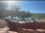 IMG_3666.jpeg