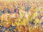 IMG_20201027_114407.jpg
