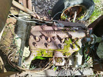 IMG-20240330-160231.jpg