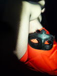 IMG_20260310_231130.jpg