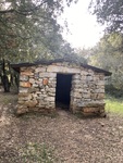 IMG_1773.jpeg