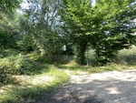 IMG_6663-Grande.jpeg