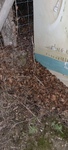 20250108_182854.jpg