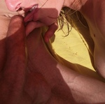 IMG_20250611_173529.jpg