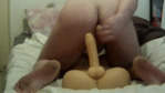 222.gif