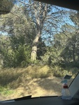 IMG_0036.jpeg