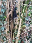 IMG_20201223_125927.jpg