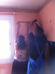 IMG_8081mod.jpg