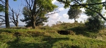 IMG_20240803_184413.jpg