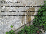 Pipi.contre.le.Mur...jpg