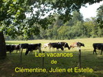 Nos belles histoires - .jpeg
