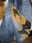 IMG_20250105_150224.jpg