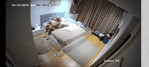 GIF_20250103_130614_440.gif