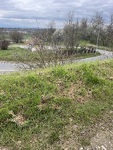 IMG_6746.jpeg