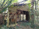 IMG-20240901-171638.jpg