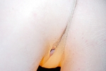 DSC_0013-2.jpg
