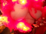 DSCN1088.jpg