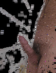 A.gif