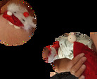 noelnousdeuxg.gif