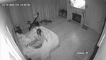 IMG_3691.jpeg