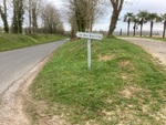 IMG_1668.jpeg