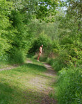 DSC_4341.JPG
