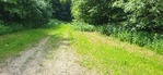 20260529_1127.jpg